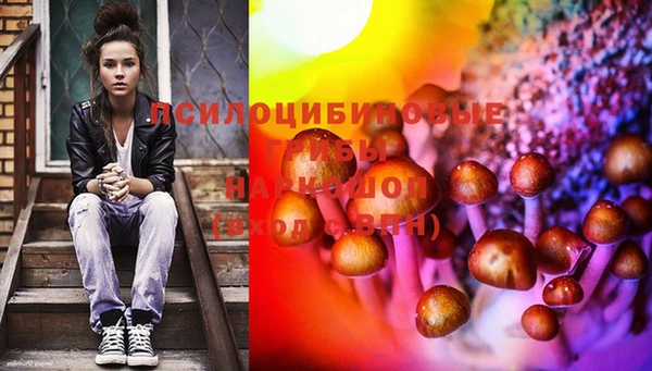 винт Сафоново