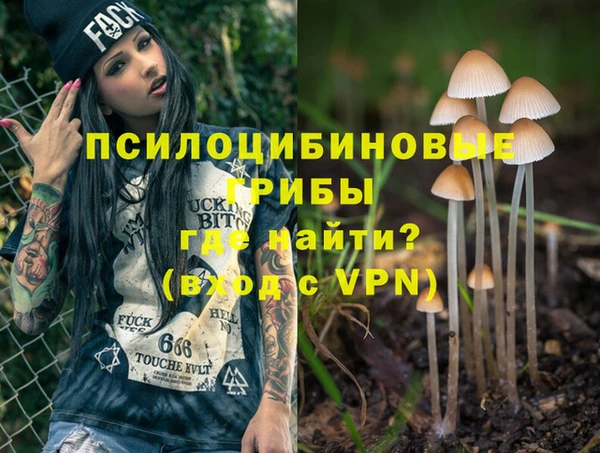 марки nbome Бородино