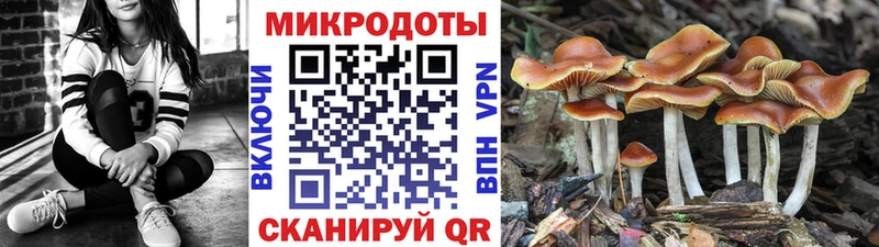 Галлюциногенные грибы MAGIC MUSHROOMS  где можно купить наркотик  Грозный 